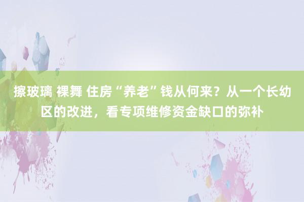 擦玻璃 裸舞 住房“养老”钱从何来？从一个长幼区的改进，看专项维修资金缺口的弥补