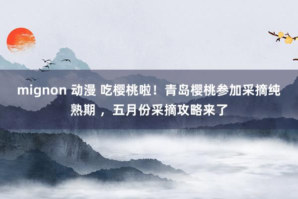 mignon 动漫 吃樱桃啦！青岛樱桃参加采摘纯熟期 ，五月份采摘攻略来了