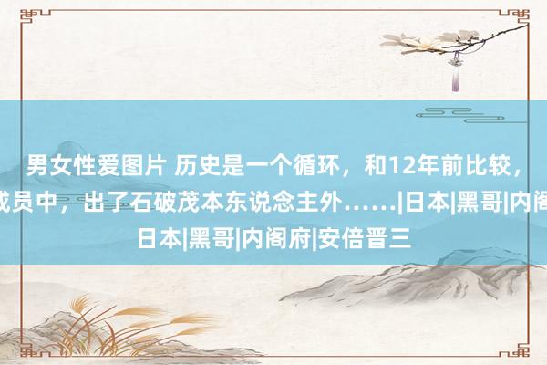 男女性爱图片 历史是一个循环，和12年前比较，石破茂内阁成员中，出了石破茂本东说念主外……|日本|黑哥|内阁府|安倍晋三