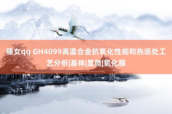 骚女qq GH4099高温合金抗氧化性能和热惩处工艺分析|基体|显微|氧化膜