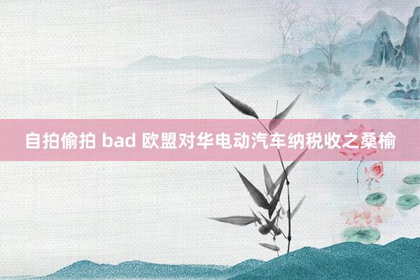 自拍偷拍 bad 欧盟对华电动汽车纳税收之桑榆