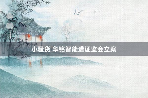 小骚货 华铭智能遭证监会立案