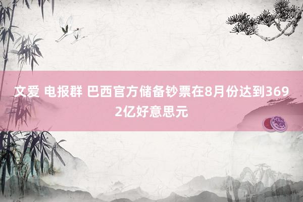 文爱 电报群 巴西官方储备钞票在8月份达到3692亿好意思元