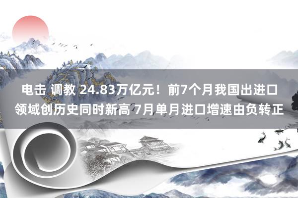 电击 调教 24.83万亿元！前7个月我国出进口领域创历史同时新高 7月单月进口增速由负转正