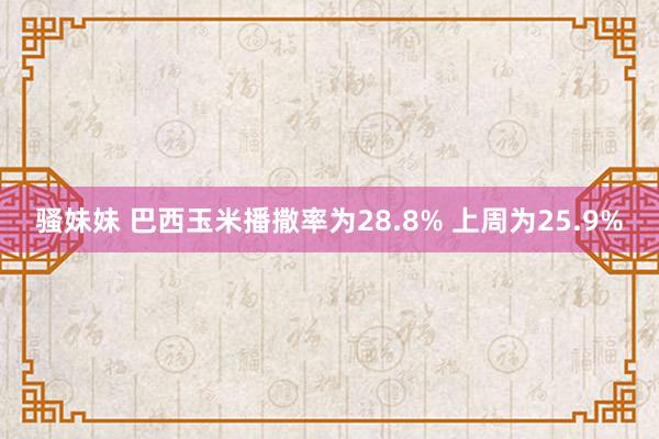 骚妹妹 巴西玉米播撒率为28.8% 上周为25.9%