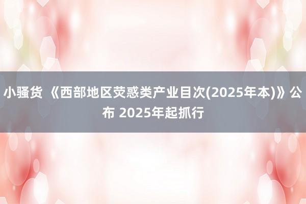 小骚货 《西部地区荧惑类产业目次(2025年本)》公布 2025年起抓行