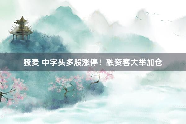 骚麦 中字头多股涨停！融资客大举加仓