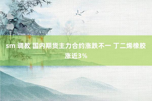 sm 调教 国内期货主力合约涨跌不一 丁二烯橡胶涨近3%