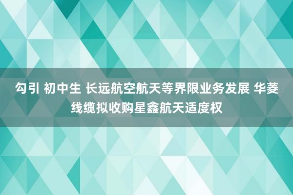 勾引 初中生 长远航空航天等界限业务发展 华菱线缆拟收购星鑫航天适度权