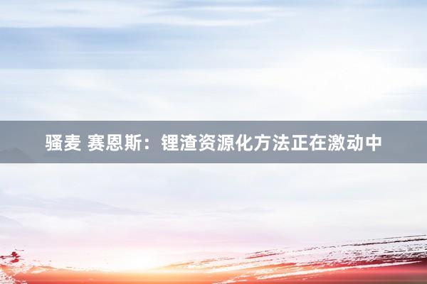 骚麦 赛恩斯：锂渣资源化方法正在激动中