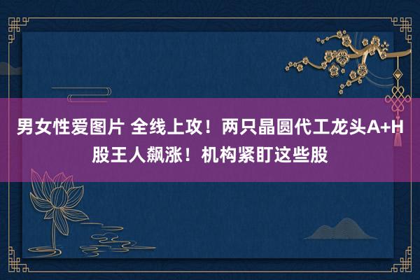 男女性爱图片 全线上攻！两只晶圆代工龙头A+H股王人飙涨！机构紧盯这些股