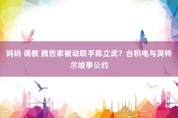 妈妈 调教 魏哲家被动联手陈立武？台积电与英特尔竣事公约
